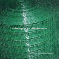 Diamond brand PVC Plastic coated welded wire mesh